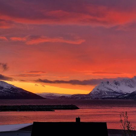 Loftsleilighet Midt I Sentrum Skjervoy Экстерьер фото