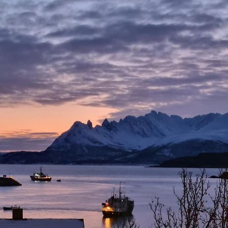 Loftsleilighet Midt I Sentrum Skjervoy Экстерьер фото