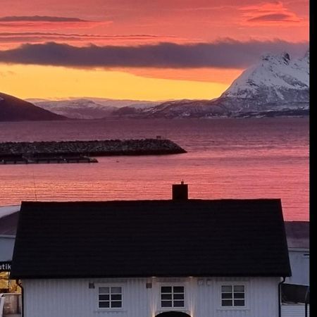 Loftsleilighet Midt I Sentrum Skjervoy Экстерьер фото