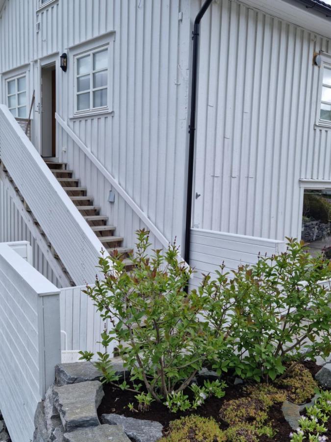 Loftsleilighet Midt I Sentrum Skjervoy Экстерьер фото