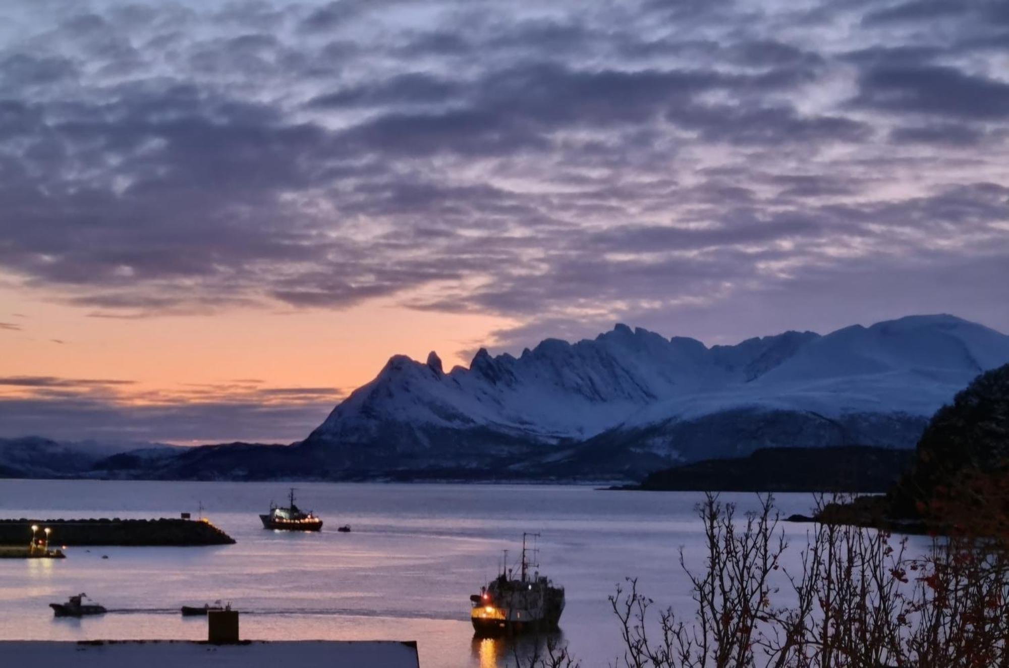 Loftsleilighet Midt I Sentrum Skjervoy Экстерьер фото