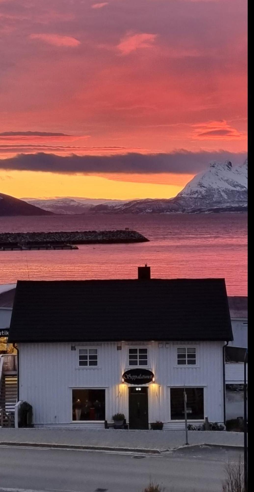 Loftsleilighet Midt I Sentrum Skjervoy Экстерьер фото